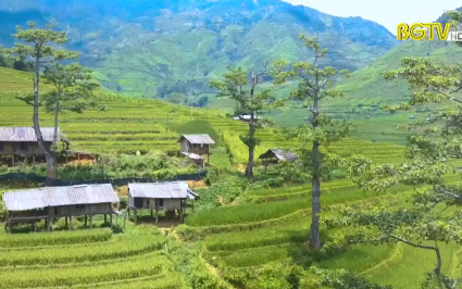 Ca nhạc theo y&ecirc;u cầu ng&agrave;y 16-06-2022