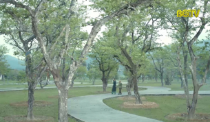 Ca nhạc theo y&ecirc;u cầu ng&agrave;y 22 - 7 - 2021