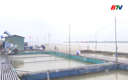 C&aacute;c hộ nu&ocirc;i C&aacute; lồng tr&ecirc;n s&ocirc;ng chủ động ứng ph&oacute; với mưa b&atilde;o