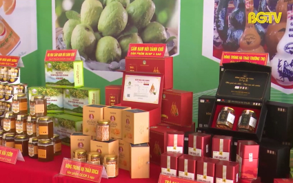 Cần ch&iacute;nh s&aacute;ch hỗ trợ ri&ecirc;ng cho sản phẩm OCOP  