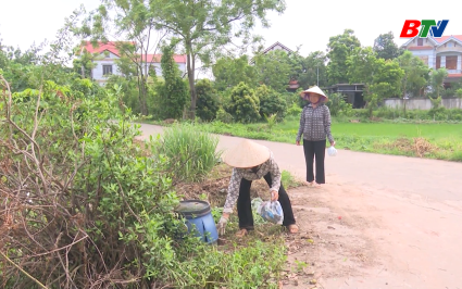 C&aacute;nh đồng kh&ocirc;ng bao b&igrave; thuốc bảo vệ thực vật 