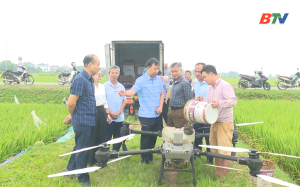 &ldquo;C&aacute;nh đồng kh&ocirc;ng dấu ch&acirc;n&rdquo; ở Xu&acirc;n Cẩm 