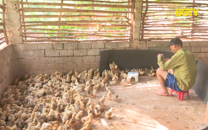 Cắt điện lu&acirc;n phi&ecirc;n ảnh hưởng đến chăn nu&ocirc;i g&agrave;