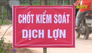 Phỏng vấn GĐ Sở N&ocirc;ng nghiệp v&agrave; PTNT về ph&ograve;ng chống dịch tả lợn Ch&acirc;u Phi 