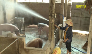 Tạp ch&iacute; NNNT: Nh&igrave;n lại c&ocirc;ng t&aacute;c ph&ograve;ng chống dịch tả lợn Ch&acirc;u Phi