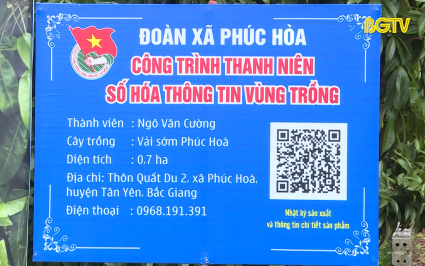 Chuyển đổi số để ti&ecirc;u thụ vải thiều sớm ở T&acirc;n Y&ecirc;n 