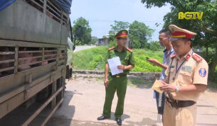 Chống bu&ocirc;n lậu: Ngăn chặn bu&ocirc;n b&aacute;n lợn kh&ocirc;ng r&otilde; nguồn gốc