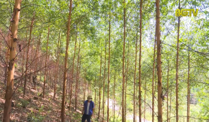 Chậm b&agrave;n giao rừng Khu du lịch sinh th&aacute;i Suối Mỡ