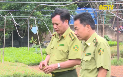 Chậm tiến độ triển khai Đề &aacute;n Trung t&acirc;m sản xuất giống c&acirc;y trồng l&acirc;m nghiệp 