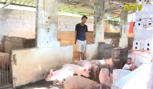 Chăn nu&ocirc;i an to&agrave;n dịch bệnh - Xu thế tất yếu