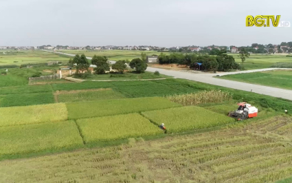 Chỉ đạo sản xuất ứng ph&oacute; cơn b&atilde;o số 1
