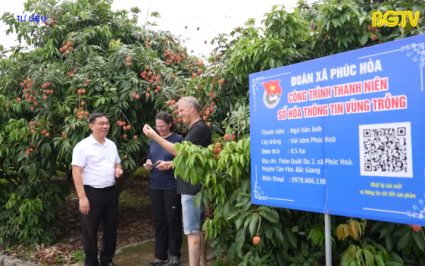 Cho ph&eacute;p sử dụng địa danh "Ph&uacute;c Ho&agrave;" để đăng k&yacute; bảo hộ nh&atilde;n hiệu tập thể 