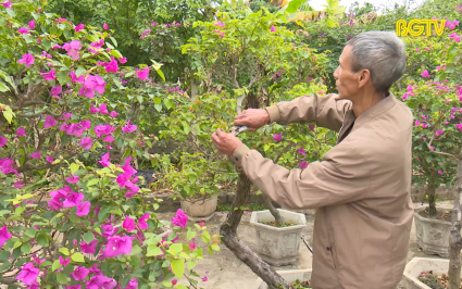 Chơi hoa, c&acirc;y cảnh - N&eacute;t đẹp tinh tế ng&agrave;y xu&acirc;n