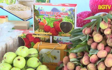 Chủ động điều kiện, đồng h&agrave;nh ti&ecirc;u thụ vải thiều