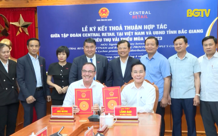 Chủ động kết nối ti&ecirc;u thụ vải thiều