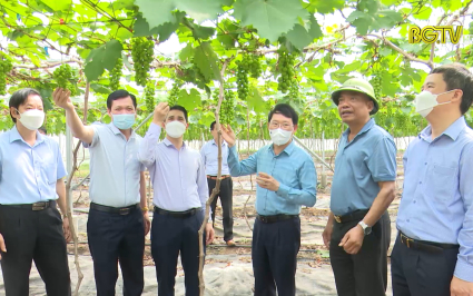 Chủ động nguồn giống, đẩy mạnh &aacute;p dụng KHCN, n&acirc;ng tầm sản xuất n&ocirc;ng nghiệp