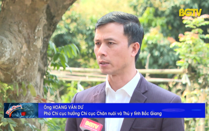 Chủ động x&acirc;y dựng v&ugrave;ng an to&agrave;n dịch bệnh tr&ecirc;n đ&agrave;n lợn để đ&oacute;n đầu xuất khẩu