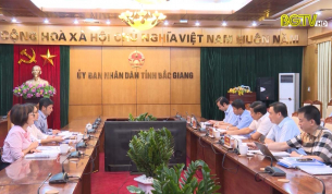 Chủ tịch UBND tỉnh l&agrave;m việc với Ng&acirc;n h&agrave;ng Ph&aacute;t triển Ch&acirc;u &Aacute; ADB