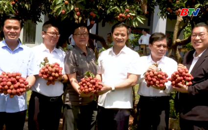 Chủ tịch UBND tỉnh thăm c&aacute;c nh&agrave; vườn vải thiều Lục Ngạn, k&ecirc;u gọi doanh nghiệp thu mua n&ocirc;ng sản