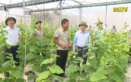 Chủ tịch UBND tỉnh thăm m&ocirc; h&igrave;nh SXNN tại huyện Y&ecirc;n Dũng