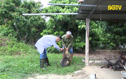 Chung tay ph&aacute; vỡ r&agrave;o cản - ph&ograve;ng chống bệnh dại