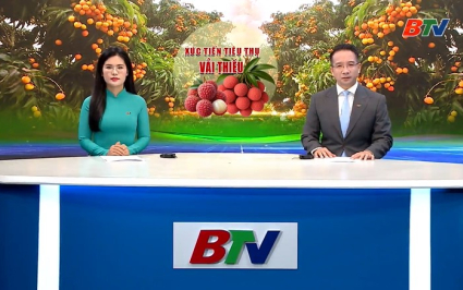 Chương tr&igrave;nh Thời sự tối của B&aacute;o v&agrave; PT, TH Bắc Ninh ng&agrave;y 24-05-2026