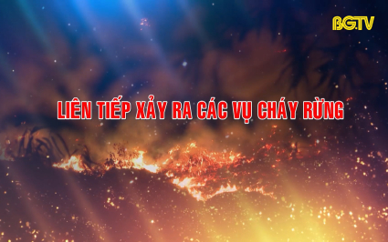 Bắc Giang li&ecirc;n tiếp xảy ra c&aacute;c vụ ch&aacute;y rừng