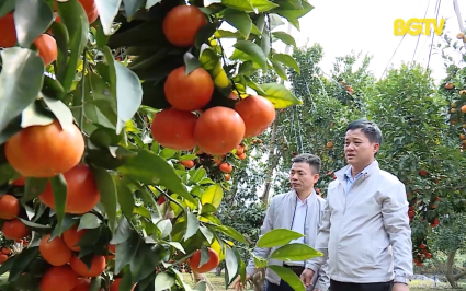 Chuy&ecirc;n đề: N&ocirc;ng d&acirc;n thời đại 4.0 