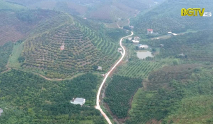 Chuyển hướng ph&aacute;t triển bền vững c&acirc;y ăn quả