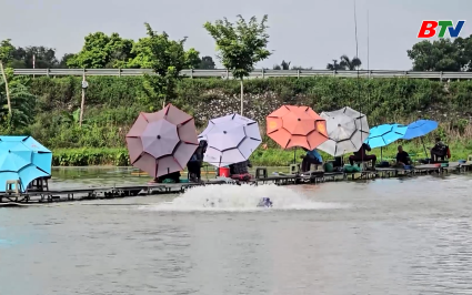 Cờ bạc tr&aacute; h&igrave;nh n&uacute;p b&oacute;ng c&acirc;u c&aacute; giải tr&iacute;