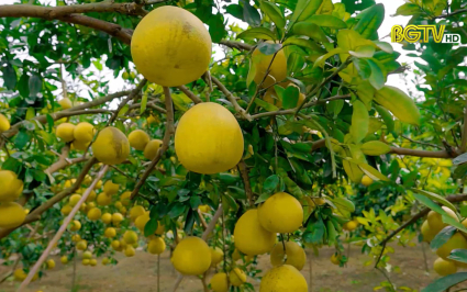 Cơ hội xuất khẩu n&ocirc;ng sản