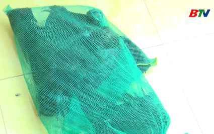 C&ocirc;ng an x&atilde; Y&ecirc;n Thế bắt quả tang đối tượng săn bắt chim tr&aacute;i ph&eacute;p 