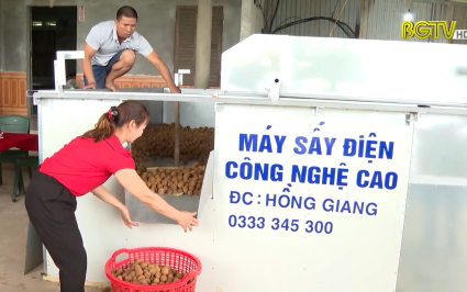 C&ocirc;ng nghệ sấy Vải bằng điện