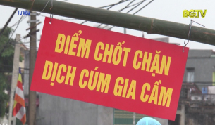 C&ocirc;ng t&aacute;c ph&ograve;ng chống dịch c&uacute;m gia cầm