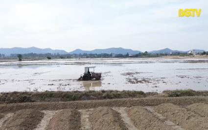 CTT: Để vụ chi&ecirc;m xu&acirc;n gi&agrave;nh thắng lợi