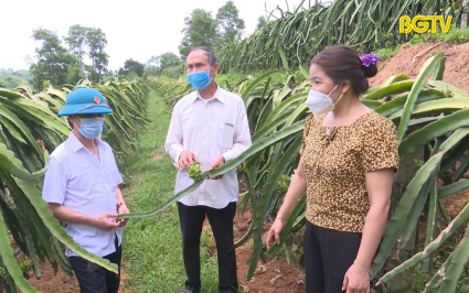 CTT: N&ocirc;ng d&acirc;n Bắc Giang hướng đến th&agrave;nh c&ocirc;ng trong nhiệm kỳ mới