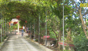 CTT: Đảm bảo an to&agrave;n đ&agrave;n vật nu&ocirc;i