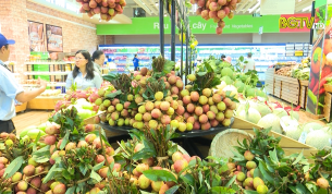 CTT: Đẩy mạnh x&uacute;c tiến ti&ecirc;u thụ vải thiều