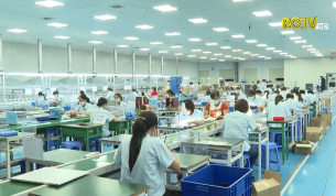 CTT: Phục hồi sản xuất kinh doanh