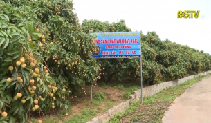 CTT: Quyết t&acirc;m đảm bảo tốc độ tăng trưởng SXNN