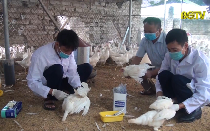 CTT: Quyết t&acirc;m giữ vững v&ugrave;ng an to&agrave;n dịch