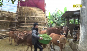 CTT: Tập trung c&aacute;c biện ph&aacute;p ph&ograve;ng chống dịch bệnh v&agrave; đ&oacute;i r&eacute;t cho đ&agrave;n vật nu&ocirc;i