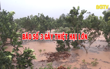 CTT: Tập trung khắc phục thiệt hại b&atilde;o số 3
