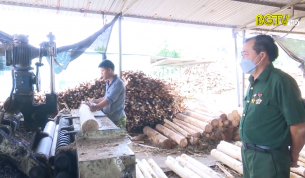 Cựu chiến binh l&agrave;m gi&agrave;u tr&ecirc;n mảnh đất qu&ecirc; hương