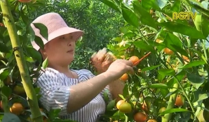Bắc Giang tập trung triển khai chương tr&igrave;nh "Mỗi x&atilde; một sản phẩm"