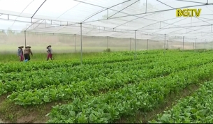 Chỉ c&oacute; 2% doanh nghiệp đầu tư v&agrave;o lĩnh vực n&ocirc;ng nghiệp