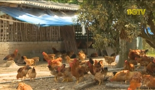 Tạp ch&iacute; N&ocirc;ng nghiệp N&ocirc;ng th&ocirc;n ng&agrave;y 25 - 3 - 2018