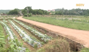 X&acirc;y dựng Đảng ng&agrave;y 05 - 07 - 2017