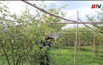 Đa dạng h&igrave;nh thức sinh kế trong c&ocirc;ng t&aacute;c giảm ngh&egrave;o  