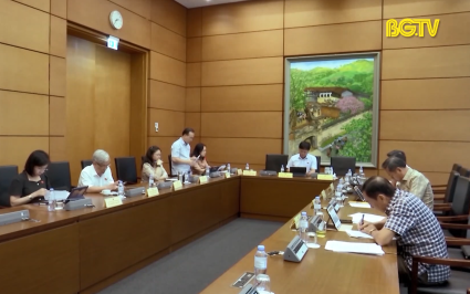 Đại biểu Quốc hội Bắc Giang g&oacute;p &yacute; về ch&iacute;nh s&aacute;ch ph&aacute;t triển kinh tế tư nh&acirc;n   